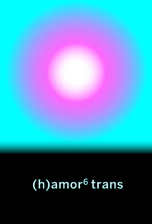 (H)AMOR 6 TRANS