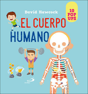 EL CUERPO HUMANO