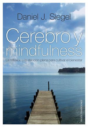 CEREBRO Y MINDFULNESS